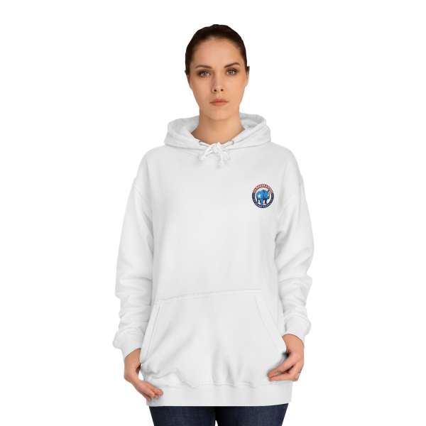 Unisex Hoodie, Multiple Colors - Image 4
