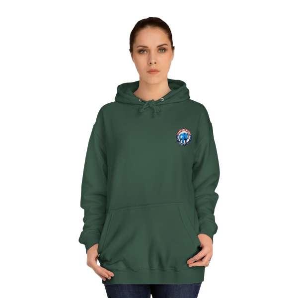 Unisex Hoodie, Multiple Colors - Image 36