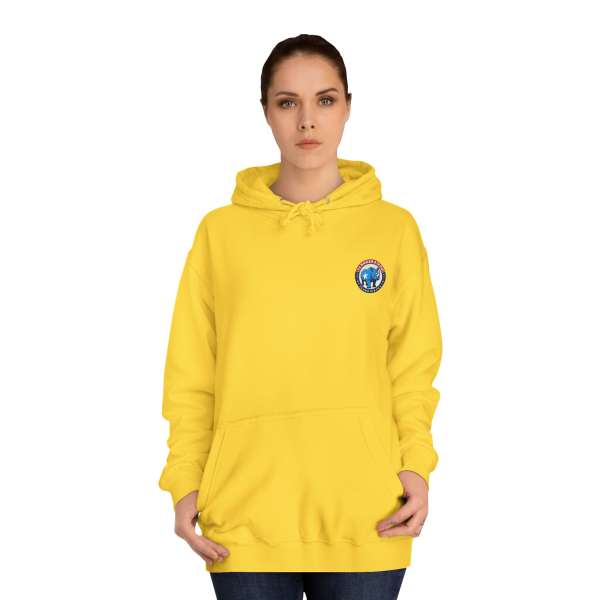 Unisex Hoodie, Multiple Colors - Image 16