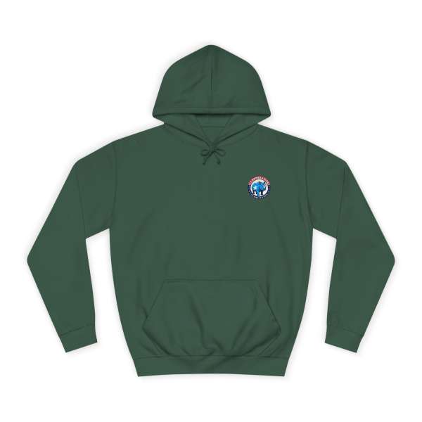 Unisex Hoodie, Multiple Colors - Image 33