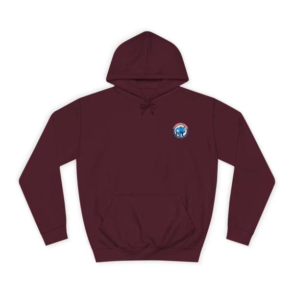Unisex Hoodie, Multiple Colors - Image 65