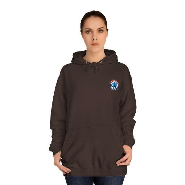 Unisex Hoodie, Multiple Colors - Image 8