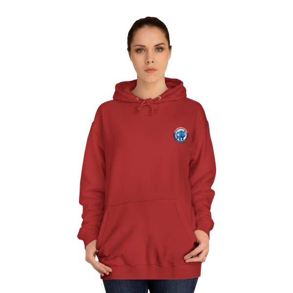 Unisex Hoodie, Multiple Colors - Image 72