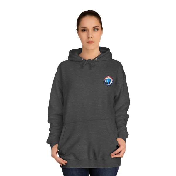 Unisex Hoodie, Multiple Colors - Image 52