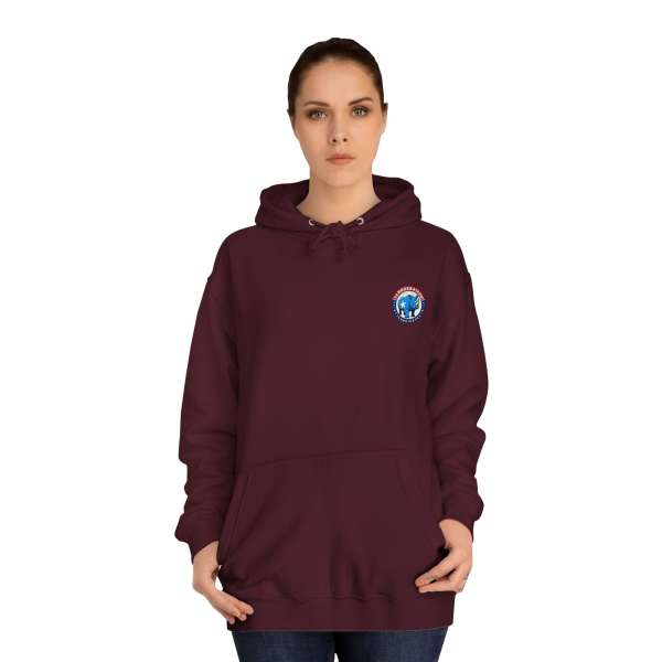 Unisex Hoodie, Multiple Colors - Image 68