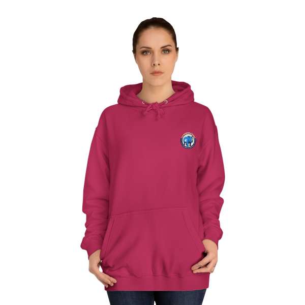 Unisex Hoodie, Multiple Colors - Image 64