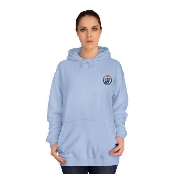 Unisex Hoodie, Multiple Colors - Image 40
