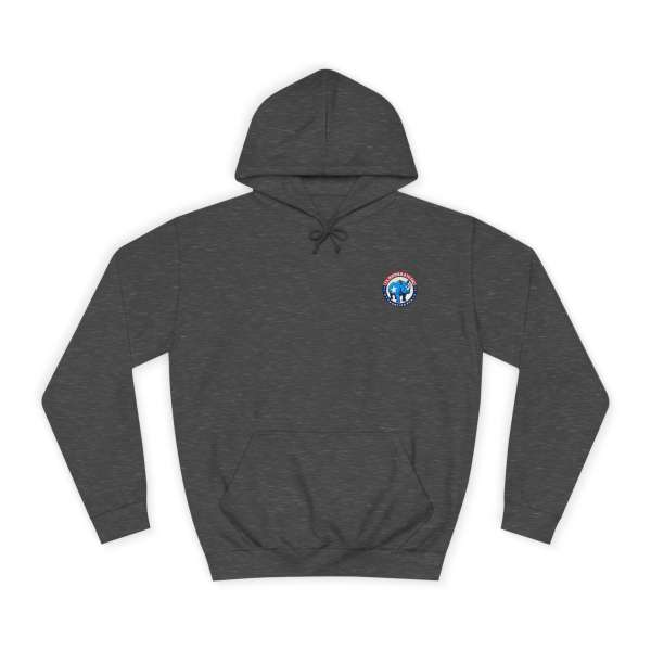 Unisex Hoodie, Multiple Colors - Image 49
