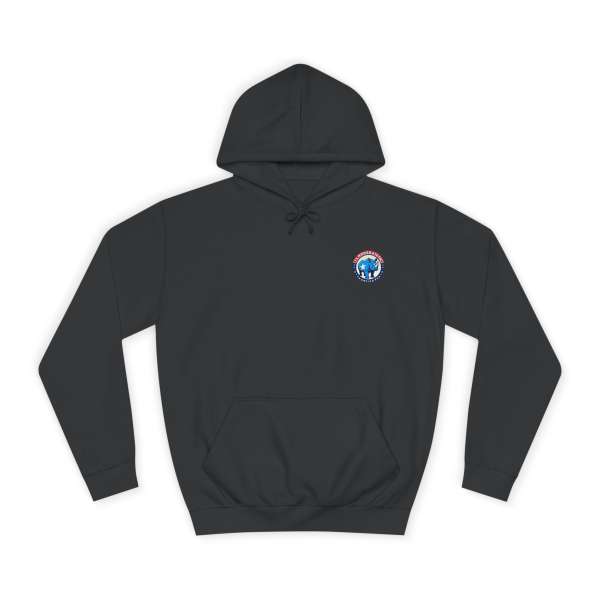 Unisex Hoodie, Multiple Colors - Image 21