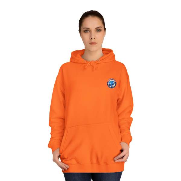 Unisex Hoodie, Multiple Colors - Image 12