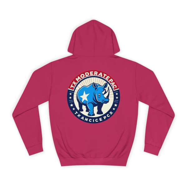 Unisex Hoodie, Multiple Colors - Image 62