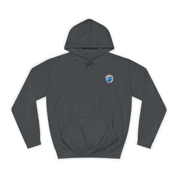 Unisex Hoodie, Multiple Colors - Image 25