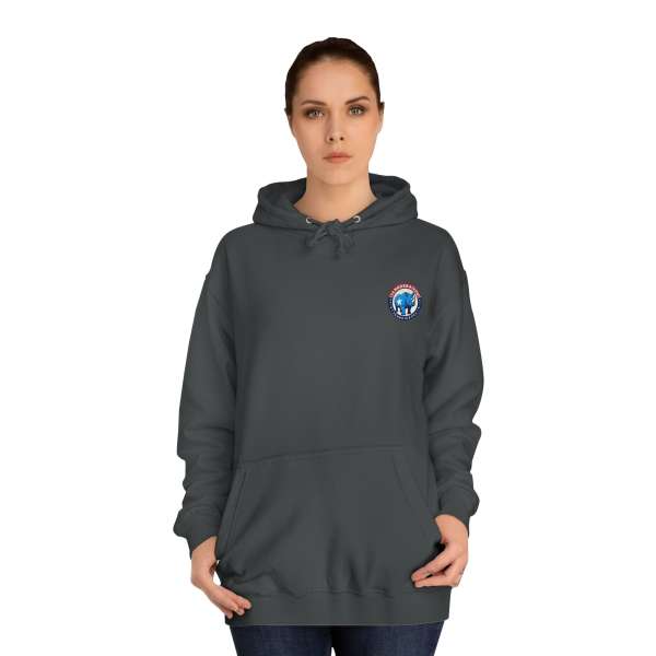 Unisex Hoodie, Multiple Colors - Image 28