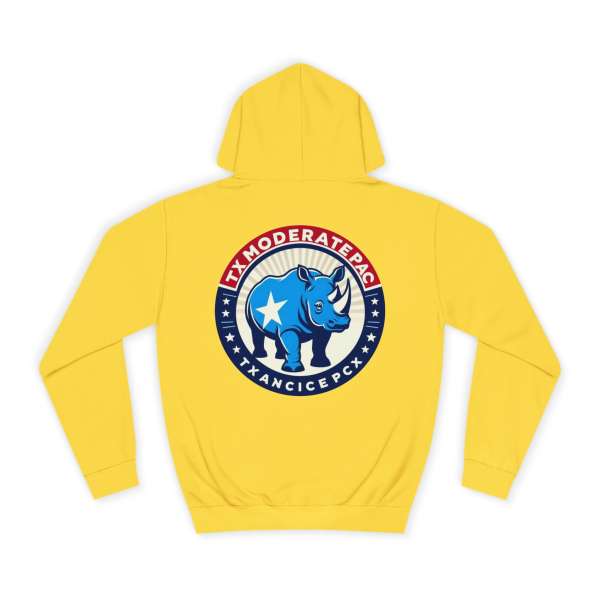 Unisex Hoodie, Multiple Colors - Image 14