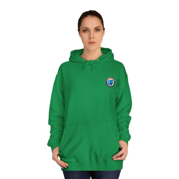 Unisex Hoodie, Multiple Colors - Image 32
