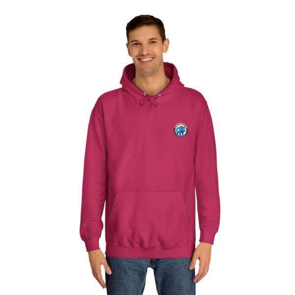 Unisex Hoodie, Multiple Colors - Image 63