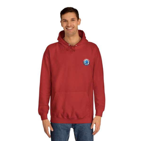 Unisex Hoodie, Multiple Colors - Image 71