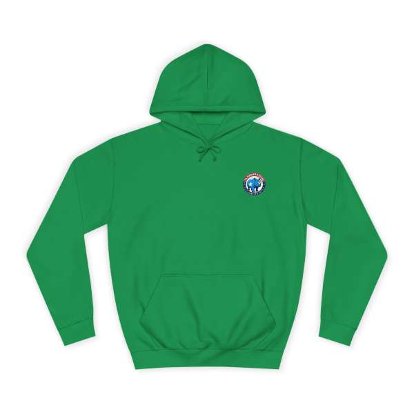 Unisex Hoodie, Multiple Colors - Image 29