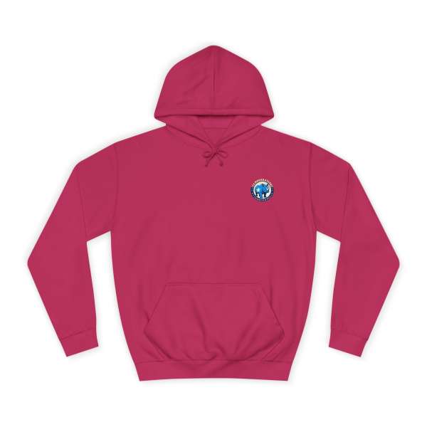 Unisex Hoodie, Multiple Colors - Image 61