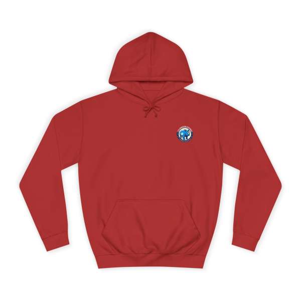 Unisex Hoodie, Multiple Colors - Image 69