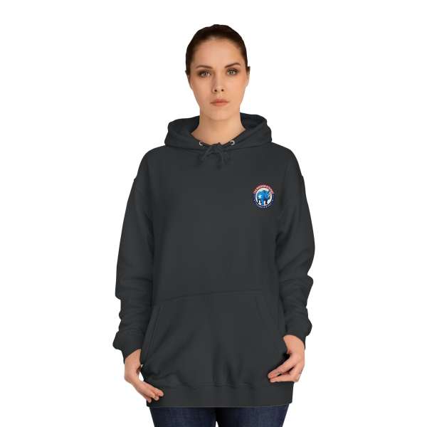 Unisex Hoodie, Multiple Colors - Image 24